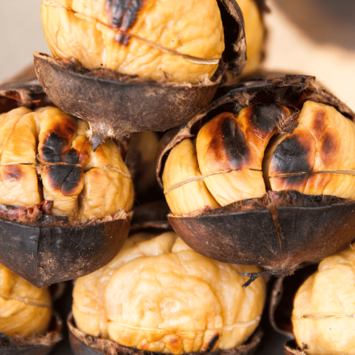 Recipe: Cast iron pan-roasted chestnuts on a stovetop - Tyrant Farms